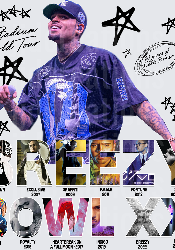 Chris Brown Stadium World Tour 20 Years Career Album Timeline